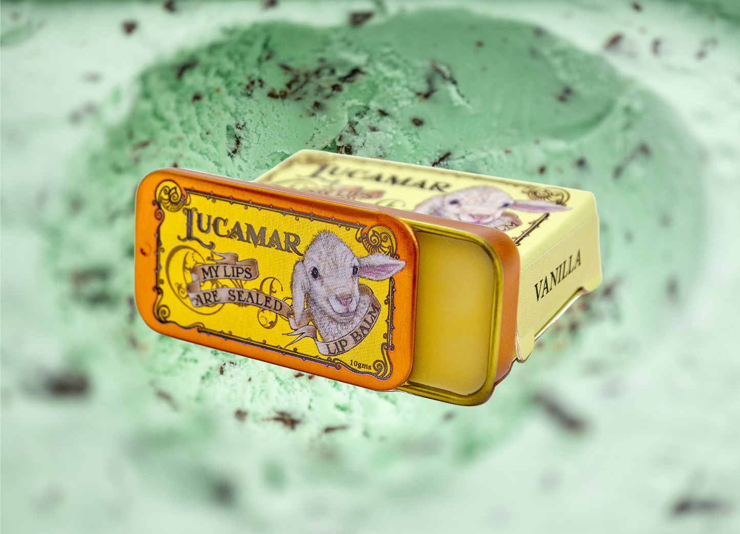 Choc-Mint: My Lips Are Sealed Lip Balm 10g
