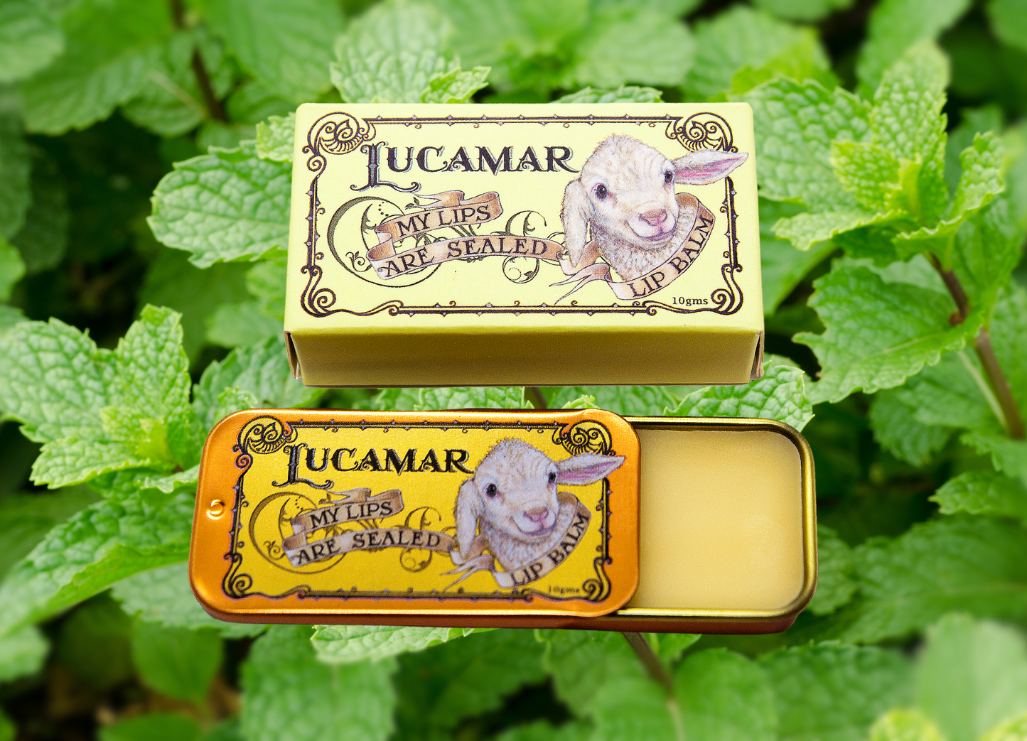 Peppermint. My Lips Are Sealed Natural Lip Balm 10g