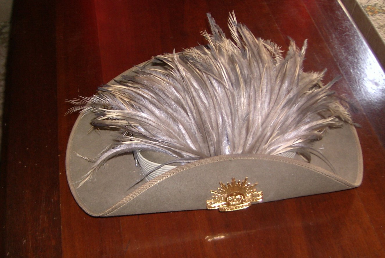 The Emu Plume