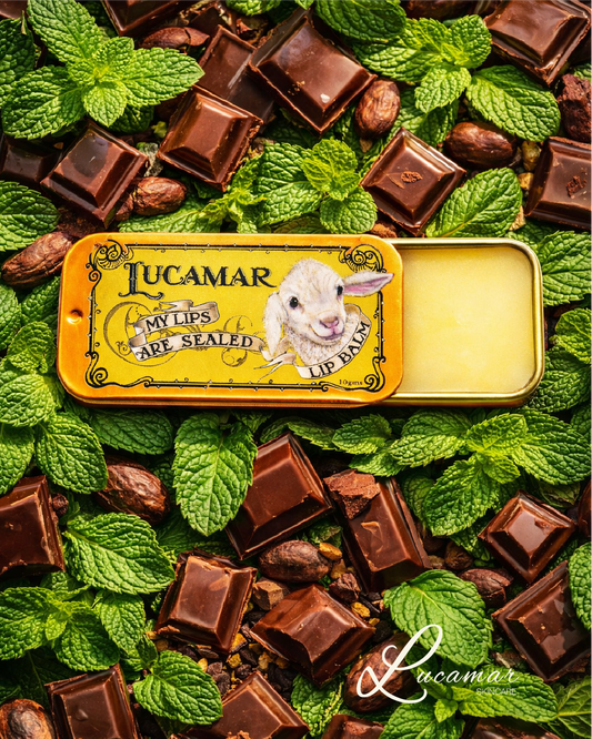 My Lips Are Sealed Lip Balm - Choc-Mint